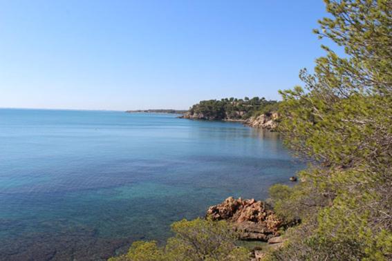 Апартаменти Casita De Pescadores Con Vista Al Puerto Л'Амеля-да-Мар Екстер'єр фото