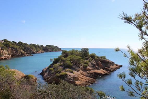 Апартаменти Casita De Pescadores Con Vista Al Puerto Л'Амеля-да-Мар Екстер'єр фото