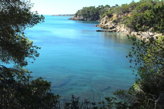 Апартаменти Casita De Pescadores Con Vista Al Puerto Л'Амеля-да-Мар Екстер'єр фото